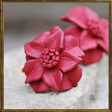 Red Leather ring