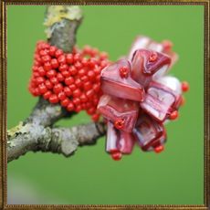 Jazz Beaded ring - red
