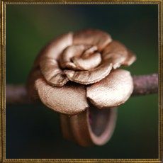 Gold Leather ring