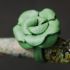 Lime single flower ring2 - Copy