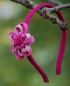 pink flower felt alice band (2).JPG