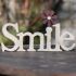 View 2 - SMILE